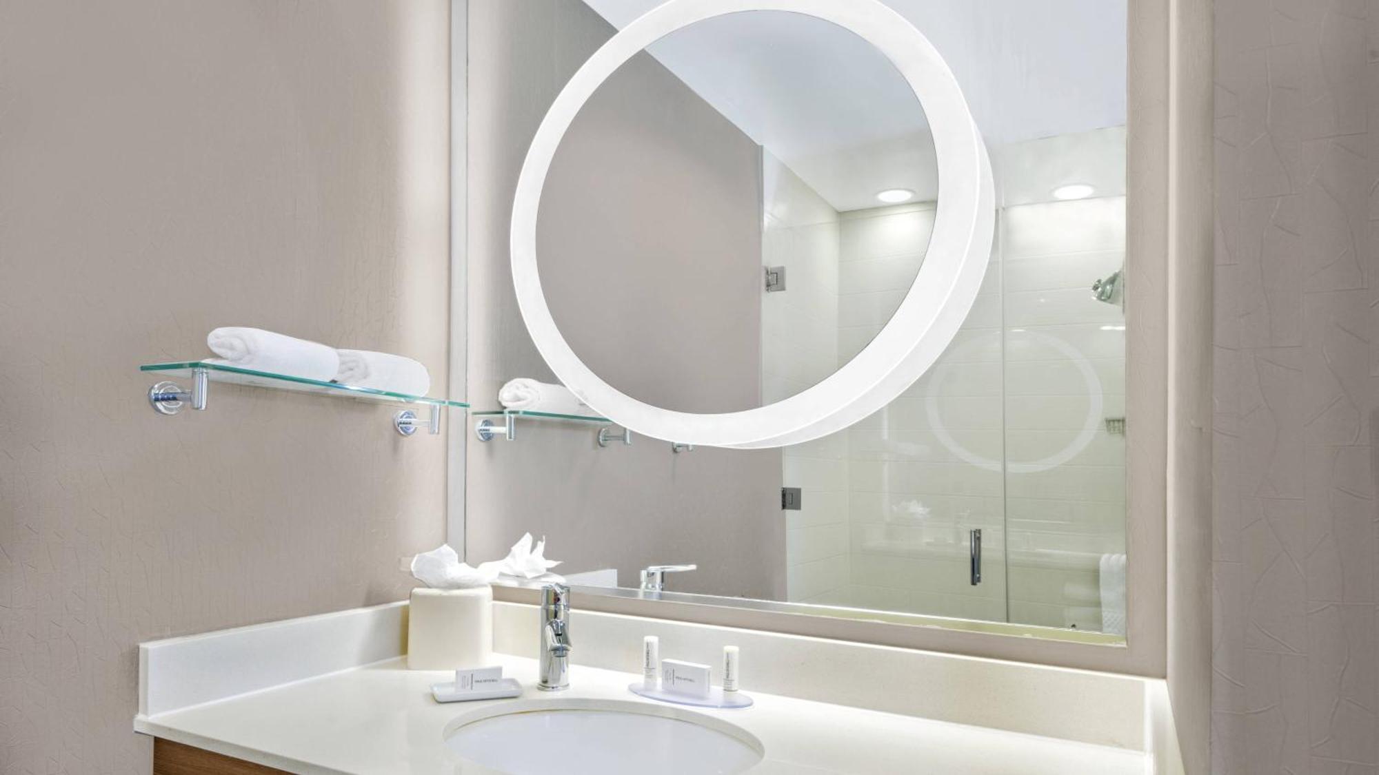 Springhill Suites By Marriott San Antonio Seaworld/Lackland Exteriér fotografie